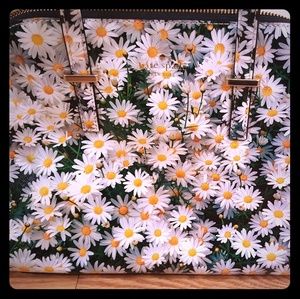 Kate Spade daisy purse